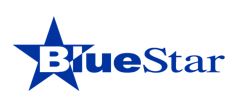 BlueStar Europe POS Event logo